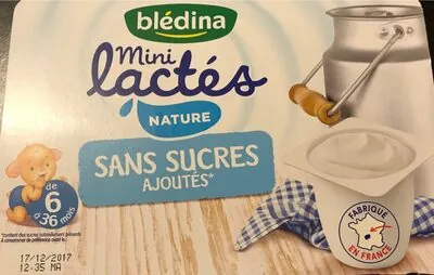 Bledina BLEDINA LES MINI LACTES 6x55g Nature sans sucre dès 6 mois