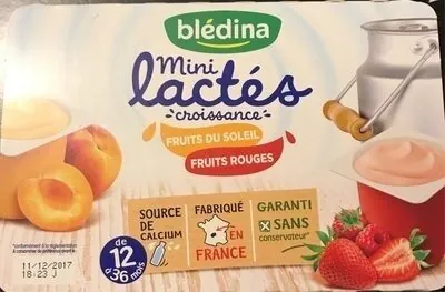 Bledina Desserts bébé nature sucré, dès 6 mois Blédina